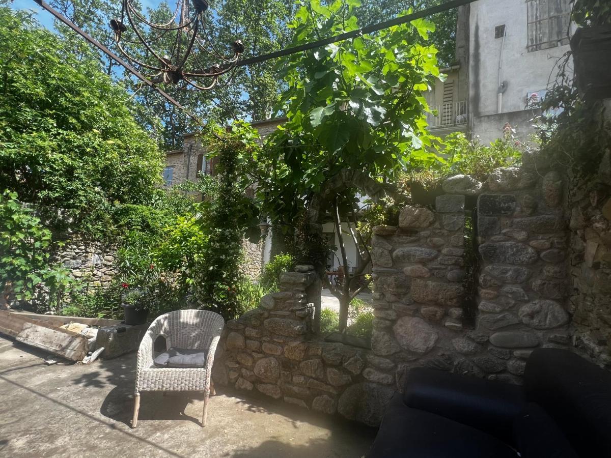 Sculptors Retreat Apartment Ceret Exterior photo