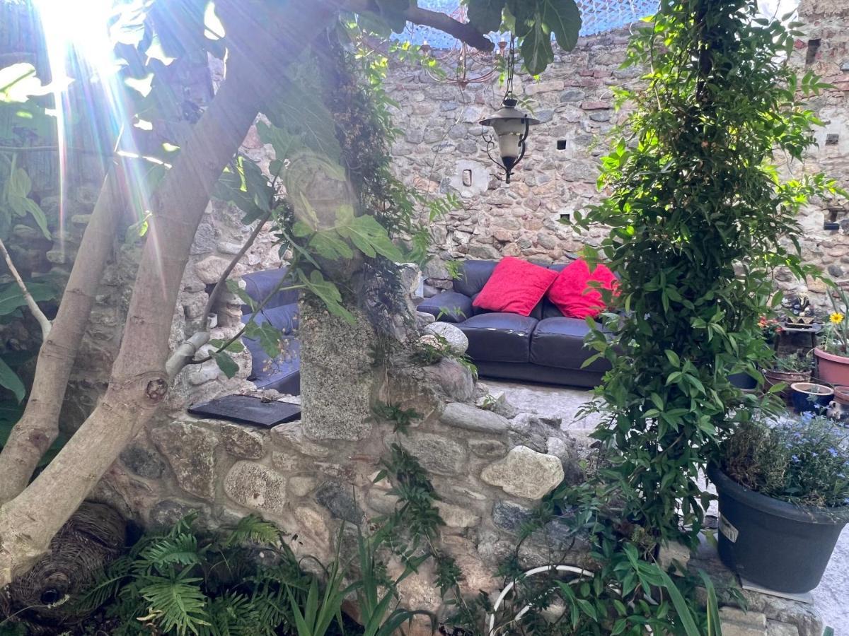 Sculptors Retreat Apartment Ceret Exterior photo