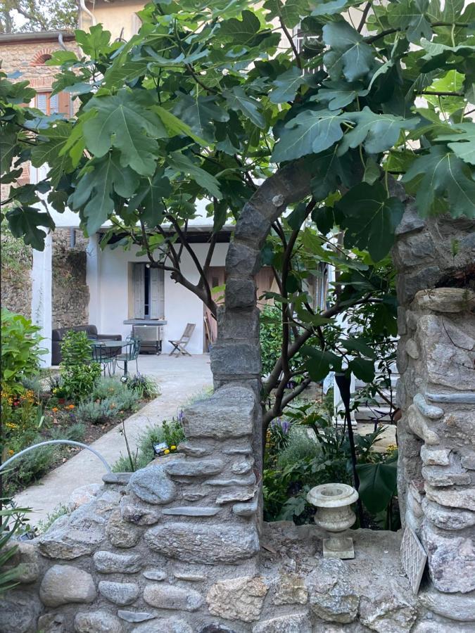 Sculptors Retreat Apartment Ceret Exterior photo